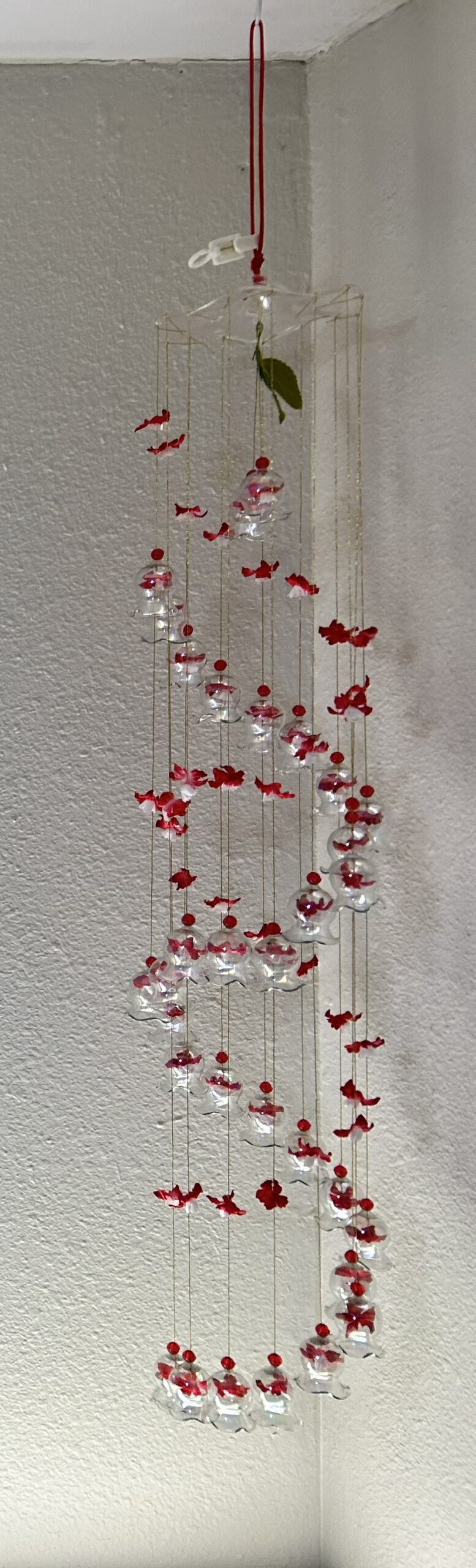 Ruby Reef Fishpot - Image 3